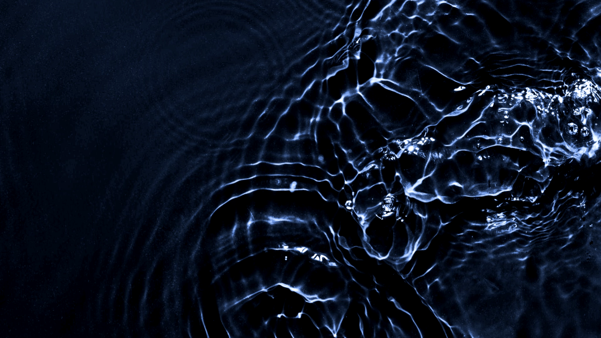 Fondo
